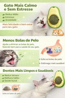 Bola de Catnip para Gatos com Fixação na Parede – Estimula, Relaxa e Limpa os Dentes | Dogviva