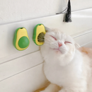 Bola de Catnip para Gatos com Fixação na Parede – Estimula, Relaxa e Limpa os Dentes | Dogviva