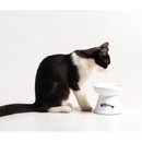 Comedouro Gato Cerâmica Luxo Bebedouro Cerâmica Esmaltado PET Elevado antiformiga prático higiênico