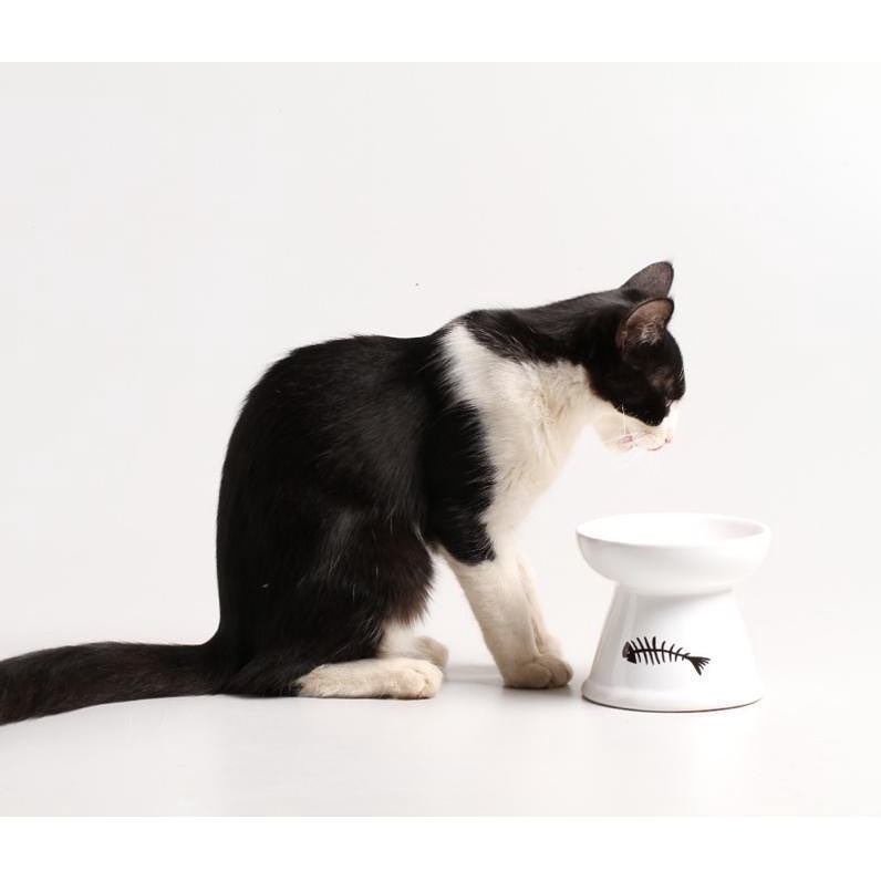 Comedouro Gato Cerâmica Luxo Bebedouro Cerâmica Esmaltado PET Elevado antiformiga prático higiênico