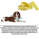 Coleira Osso Gravação Nome e Numero a Laser Várias Cores B4