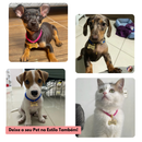 Coleira Osso Gravação Nome e Numero a Laser Várias Cores B4