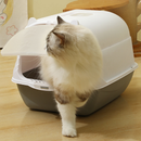 MIW Kit Caixa de Areia Banheira Furba para Gatos Encantadora Alta Gigante com Comedouro e Pá higiênica