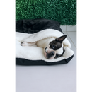 Caminha Pet Com Saquinho de Dormir Canguru Tamanhos P ao GG Cães e Gatos