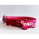 Coleira para cachorro com plaquinha de identificação personalizada