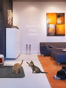 Tapete Tapetinho Simples Higiênico / Caixa de areia Coletor de Areia Impermeável EasyPet