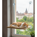 Cama Suspensa para Gato com Ventosa Janela Reforçada até 12kg – Dogviva
