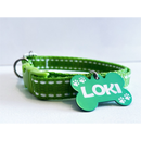 Coleira para cachorro com plaquinha de identificação personalizada