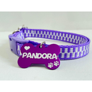 Coleira Personalizada para Cachorro com Identificação – Segurança e Estilo | Dogviva