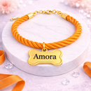 Coleira Personalizada para Cachorro e Gato com Nome e Telefone – Dogviva