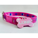 Coleira Personalizada para Cachorro com Identificação – Segurança e Estilo | Dogviva
