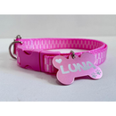 Coleira Personalizada para Cachorro com Identificação – Segurança e Estilo | Dogviva