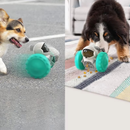 Brinquedo Interativo Gato E Cão Alimentador De Ração Pet