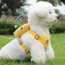 Peitoral Coleira Com Guia e Bolsa Removível Para Cachorro Pet Cães Pequenos E Médios Gato De Viagem