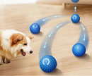 Bolinha Interativa Automática para Cachorro com LED Recarregável USB – Dogviva