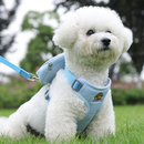 Peitoral Coleira Com Guia e Bolsa Removível Para Cachorro Pet Cães Pequenos E Médios Gato De Viagem